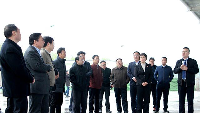 鶴壁市委常委、常務(wù)副市長(zhǎng)等領(lǐng)導(dǎo)來岐伯基地視察并指導(dǎo)工作