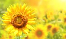 艾格多：助力員工成長，賦能企業(yè)未來