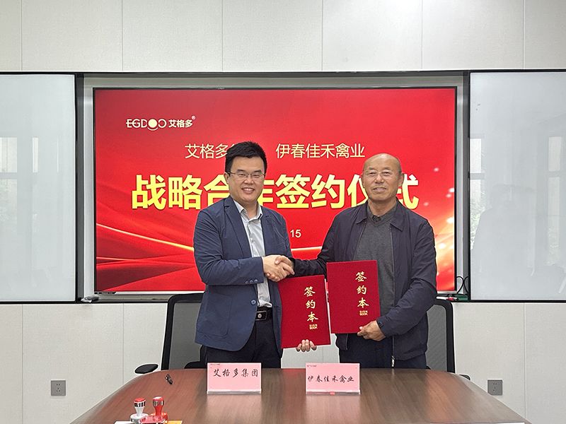強(qiáng)強(qiáng)聯(lián)合，共筑蛋雞產(chǎn)業(yè)新篇章：艾格多集團(tuán)與佳禾禽業(yè)簽署戰(zhàn)略合作協(xié)議